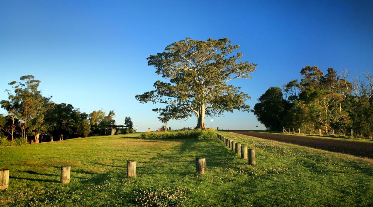Oaks Toowoomba Hotel Ngoại thất bức ảnh
